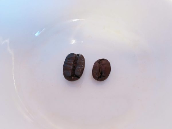 カフェ・ド・ランブルのコーヒー豆「スマトラ」を飲んだ感想を正直に述べる