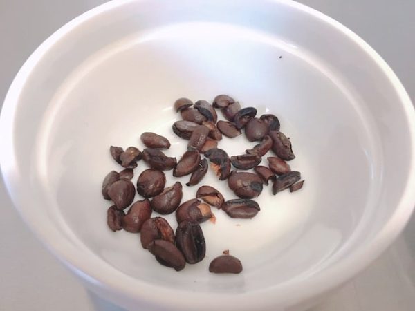 スタバのおすすめコーヒー豆は？年間260回以上スタバに通うマニアが語る