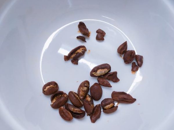 スタバのコーヒー豆【ウィローブレンド】を飲んだ感想を正直に述べる