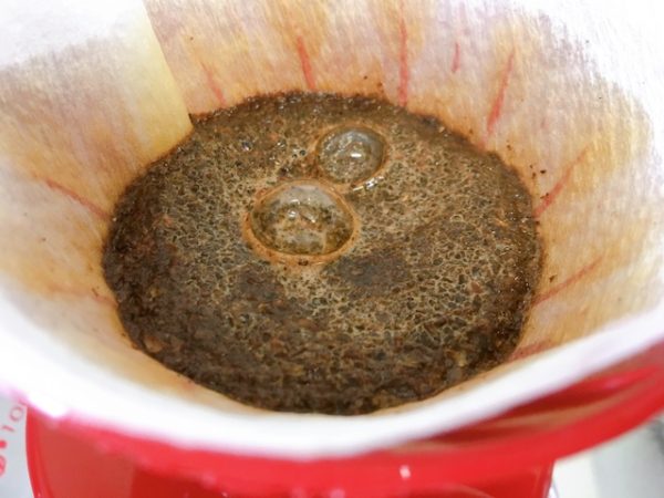 UCCマイコーヒースタイルの豆「エバーグリーン」を飲んだ感想を正直に述べる