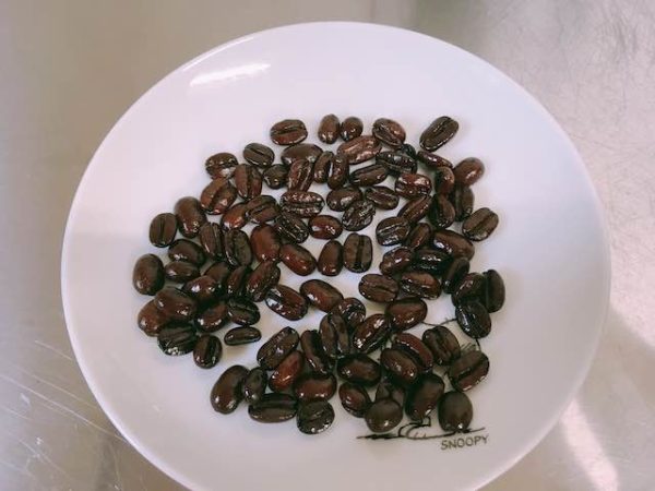 ゴーシュのコーヒー豆トラジャカロシ｜キャラメルやチョコレートのような甘いコーヒーです