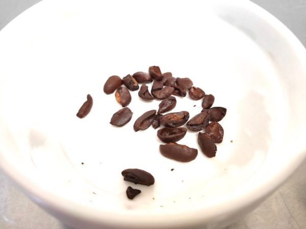 カルディのコーヒー豆【モーニングブレンド】飲んだ感想を正直に述べる