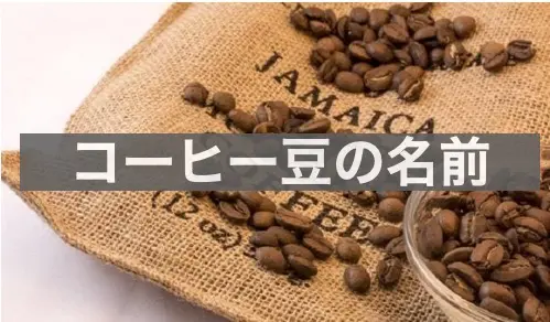 コーヒー豆の種類や味の違い お気に入りの豆を探すたった1つのコツ Y Coffee And Sweets 山口的おいしいコーヒーブログ