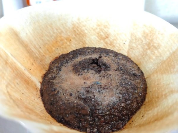 土居珈琲のコーヒー豆モンドノーボ ドライオンツリー バウ農園の感想