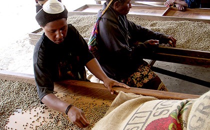土居珈琲のコーヒー豆「パプアニューギニア シグリ農園」正直な感想