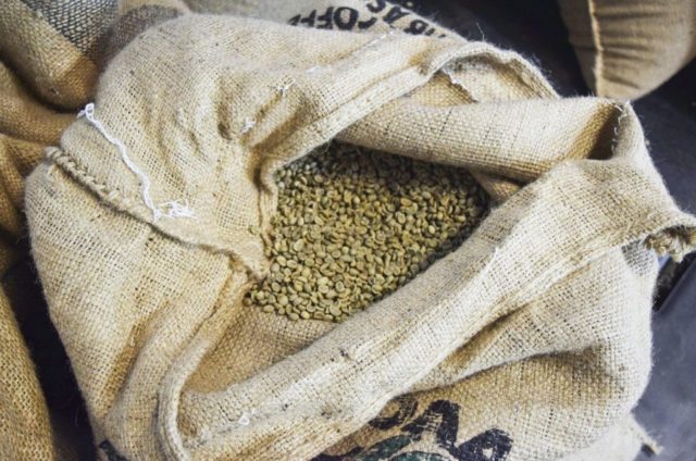 ホンジュラス産コーヒー豆の生産状況