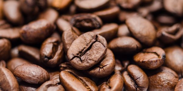 コーヒー豆の等級とグレード
