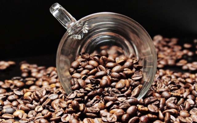 ボリビア産コーヒー豆の特徴