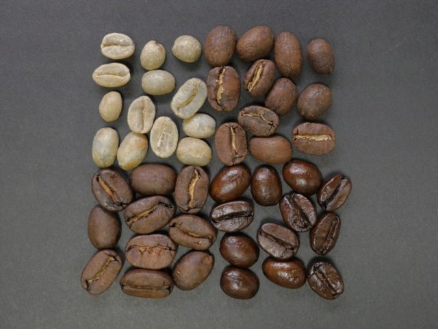 タンザニア産コーヒーの品種・種類