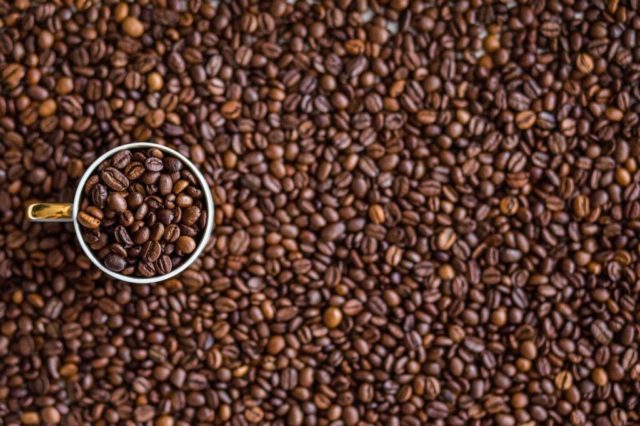 ラオス産コーヒーの品種・種類