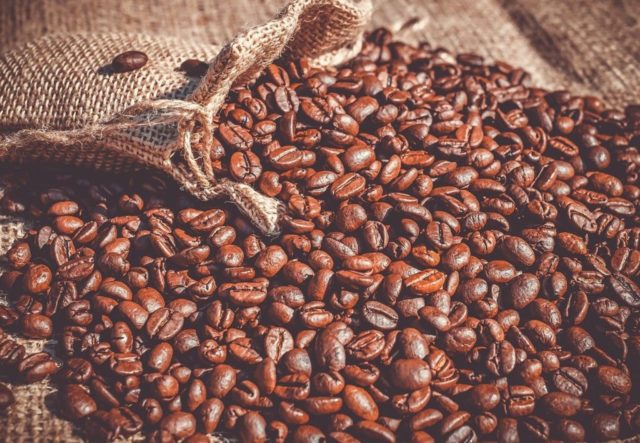 コンゴ産コーヒーの品種・種類