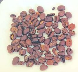 カルディのコーヒー豆「ブラジル」特徴と本音レビュー