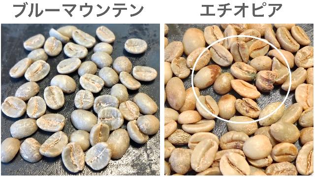 生豆の品質の違いを写真で見る