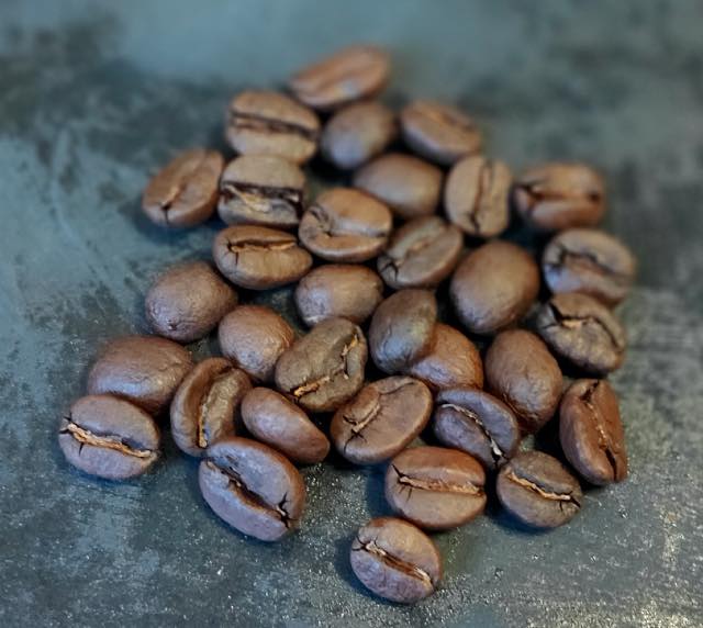 コスタリカのコーヒー豆「SHBガンボア農園ブラックハニー」レビュー｜アッシーコーヒー