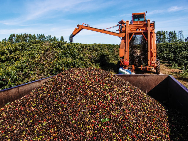 コーヒー豆を収穫する機械