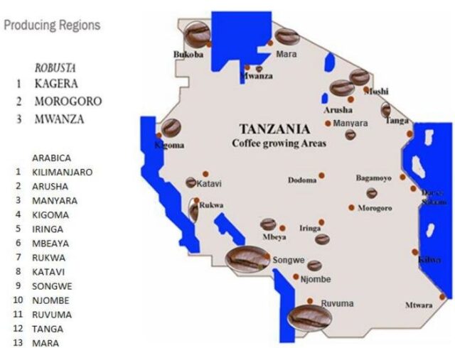 タンザニアコーヒー豆の特徴と等級から品種・美味しい入れ方まで紹介！
