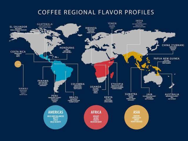 コーヒーベルトとは？属する国とそれぞれの特徴をバリスタが解説