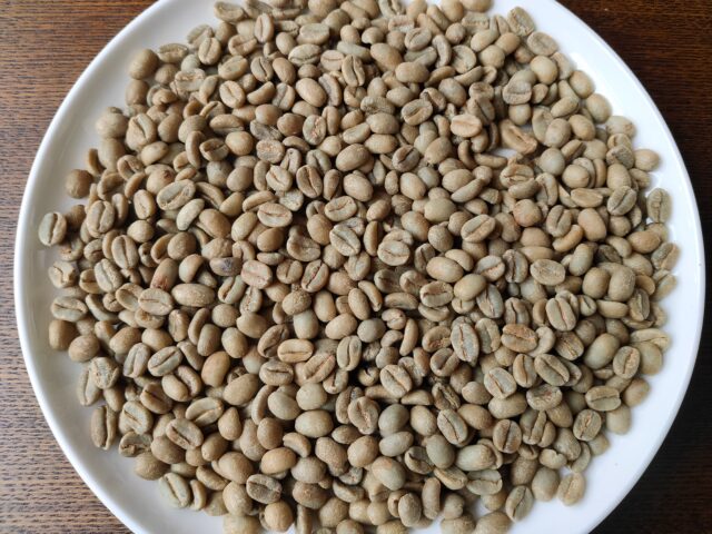 コーヒーノキとは？1本から採れる豆の量などをバリスタが解説