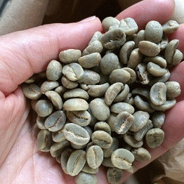 デカフェ（カフェインレス）コーヒー生豆おすすめランキング7選