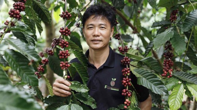 ベトナム産コーヒーおすすめランキング16選【2024年】